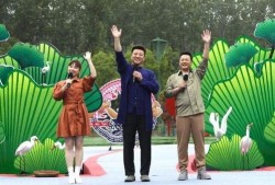 贵阳爆料新闻事件视频最新,视频揭露惊人事件，真相令人震惊！