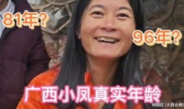 广西小凤爆料最新消息今天,今日热点事件深度解析！”