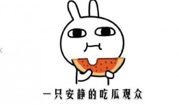 免费网红吃瓜网站,带你领略娱乐圈幕后风云