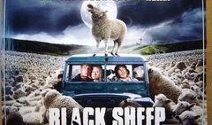 疯羊高清在线观看,一场视觉盛宴的疯狂之旅