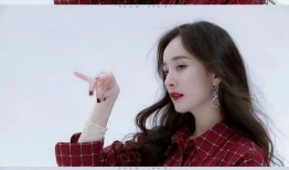 七子爆料娱乐圈小说