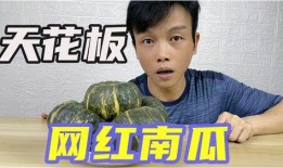 网红界的吃瓜群是什么,吃瓜群背后的秘密与风云