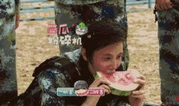 娱乐吃瓜地,吃瓜群众背后的故事