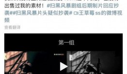 爆料王者草莓视频,揭秘电竞选手幕后生活