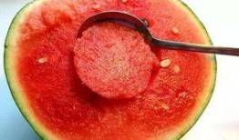 景德镇网红吃瓜群微信号,揭秘幕后故事，畅谈生活点滴