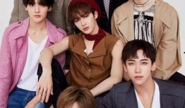 七子爆料娱乐圈小说