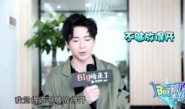 记者爆料刘宇宁视频播放,记者爆料背后真相