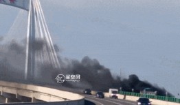 石家庄大桥爆料视频,现场视频曝光，紧急救援进行中