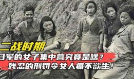 女子集中营在线观看,揭开历史阴影下的残酷真相