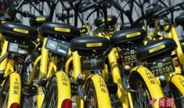 共享自行车爆料新闻视频,爆料视频揭示行业背后真相