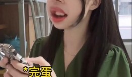 娱乐吃瓜酱id,一场娱乐圈的狂欢盛宴