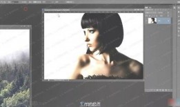 爆料视频拍摄教程,轻松制作爆款爆料视频教程