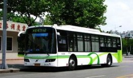 通州公交车爆料新闻最新,最新爆料揭示事件真相