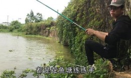 钓鱼爆料视频最新消息新闻,揭秘神秘水域奇遇记