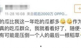 娱乐日常吃瓜群众,揭秘明星幕后故事