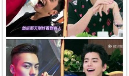 马天宇爆料相亲节目视频,揭秘明星相亲背后的故事