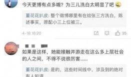 总裁小三被爆料视频大全,视频揭露不雅真相大揭秘