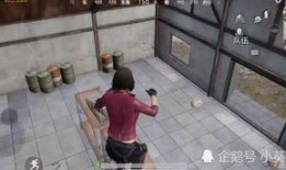 和平精英最新载具大爆料