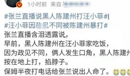 张兰信托爆料人是谁啊视频,揭秘神秘爆料人身份