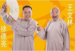 徐德亮爆料王文林视频播放,真相与争议