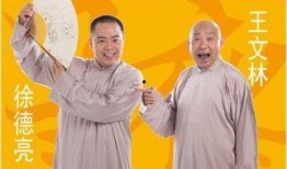 徐德亮爆料王文林视频播放,真相与争议