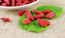 枸杞硫磺爆料视频大全最新,最新爆料视频大盘点