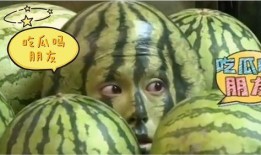 娱乐吃瓜地,吃瓜群众背后的故事