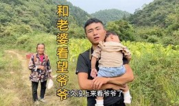 大山来了在线观看,探寻神秘山脉的奇幻之旅