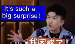 小胖爆料大胖的视频是真的吗,小胖爆料大胖视频真实性揭秘