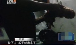 屠宰最新爆料视频,屠宰场内幕惊人曝光！