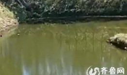 鱼塘爆料大全图片视频,揭秘网络热图背后的故事与真相