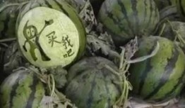 汾阳大瓜爆料视频,一场惊心动魄的真相大曝光