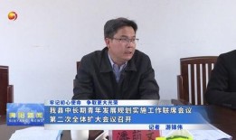 新闻爆料-----宾阳,揭秘这座广西古县的独特魅力与历史底蕴