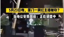 厦门爆料主播事件视频最新,真相发酵，网络舆论漩涡中的直播生态反思
