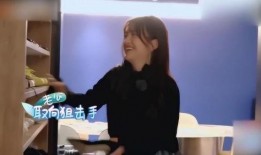 包贝尔夫妻爆料视频播放,揭秘娱乐圈背后的真相