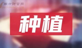平江最新爆料新闻报道图片,揭秘事件背后惊人真相