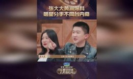 明星分手爆料视频大全集,明星分手爆料视频大全集深度解析