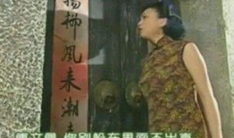 网红王琳爆料事件视频,揭秘背后惊人真相