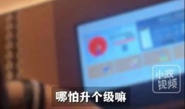 东郊到家爆料事件视频,视频揭露惊人真相